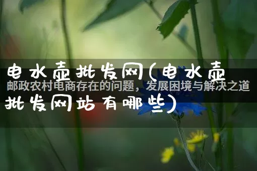 电水壶批发网(电水壶批发网站有哪些)_https://www.rzcpcj.com_抖音快手_第1张