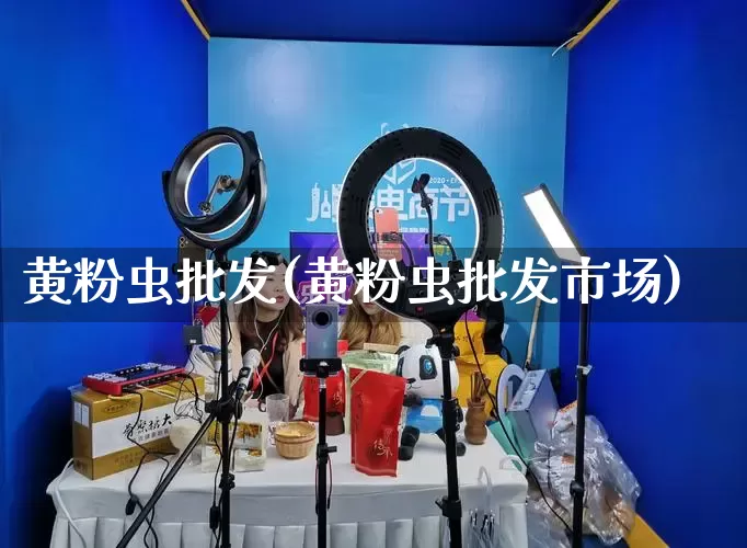 黄粉虫批发(黄粉虫批发市场)_https://www.rzcpcj.com_淘宝运营_第1张