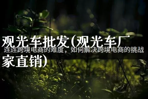 观光车批发(观光车厂家直销)_https://www.rzcpcj.com_淘宝运营_第1张