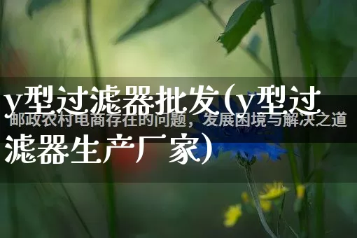 y型过滤器批发(y型过滤器生产厂家)_https://www.rzcpcj.com_直通车_第1张