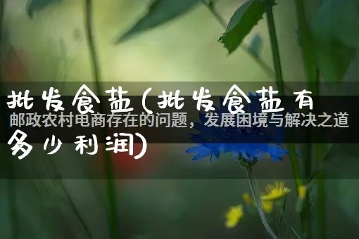 批发食盐(批发食盐有多少利润)_https://www.rzcpcj.com_开网店_第1张