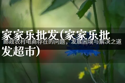 家家乐批发(家家乐批发超市)_https://www.rzcpcj.com_开网店_第1张