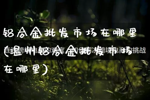 铝合金批发市场在哪里(温州铝合金批发市场在哪里)_https://www.rzcpcj.com_直通车_第1张