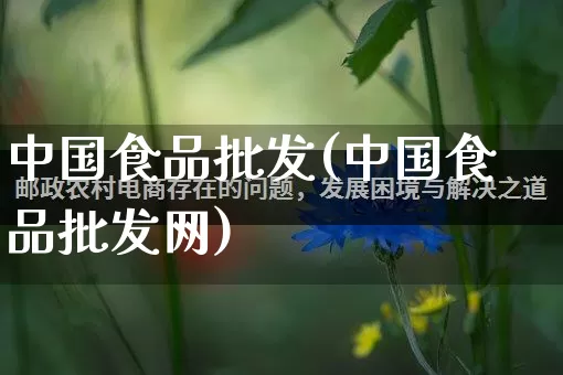 中国食品批发(中国食品批发网)_https://www.rzcpcj.com_开网店_第1张