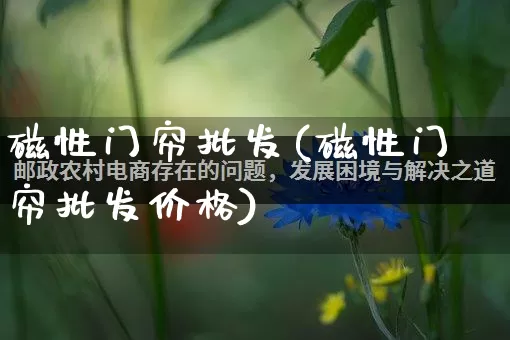 磁性门帘批发(磁性门帘批发价格)_https://www.rzcpcj.com_直通车_第1张