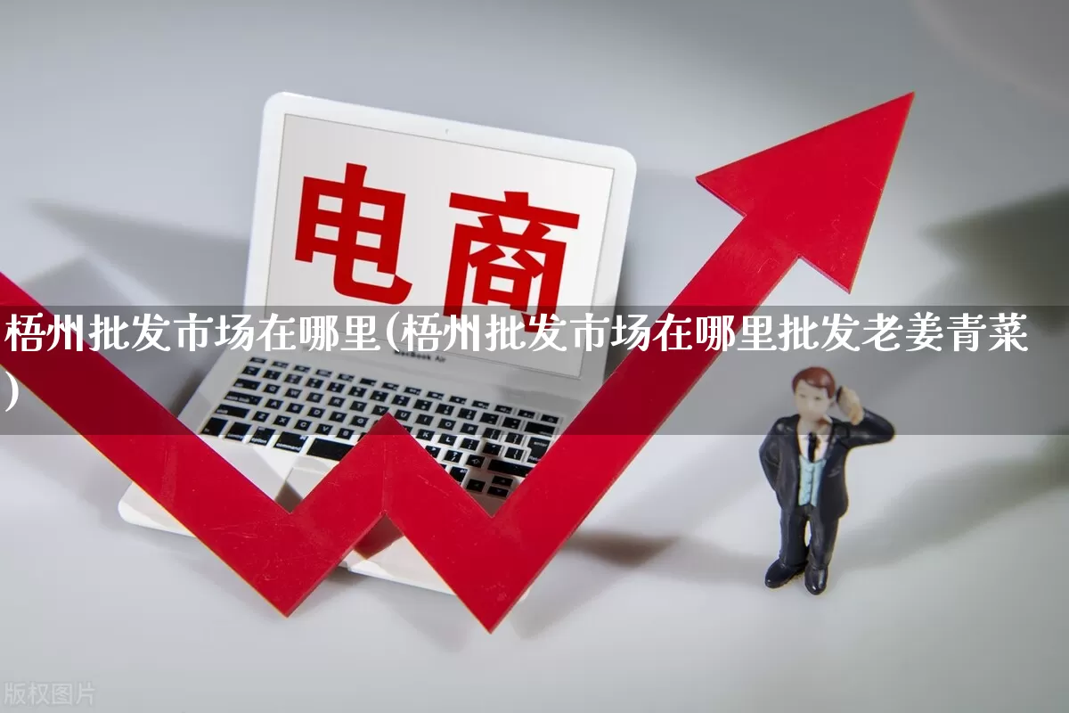 梧州批发市场在哪里(梧州批发市场在哪里批发老姜青菜)_https://www.rzcpcj.com_直通车_第1张