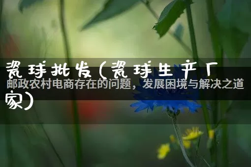 瓷球批发(瓷球生产厂家)_https://www.rzcpcj.com_抖音快手_第1张