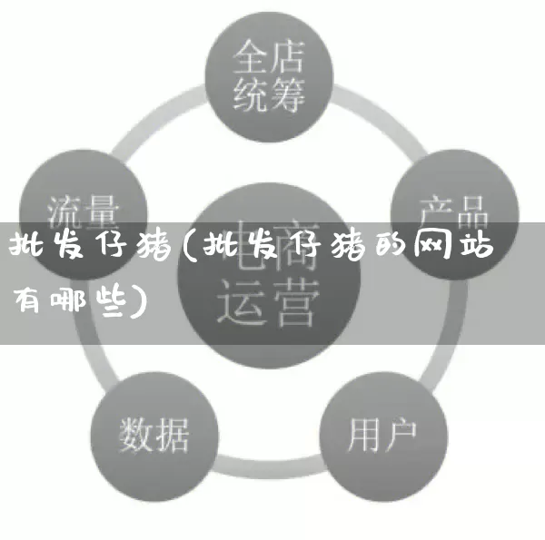 批发仔猪(批发仔猪的网站有哪些)_https://www.rzcpcj.com_直通车_第1张