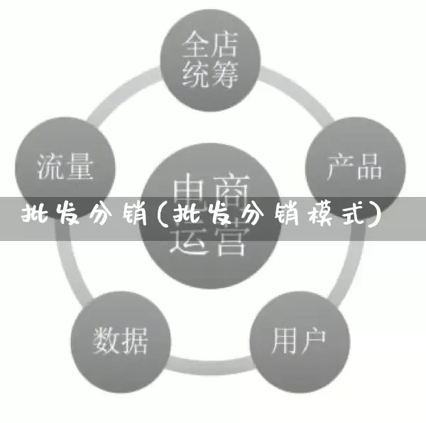 批发分销(批发分销模式)_https://www.rzcpcj.com_天猫运营_第1张