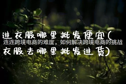 进衣服哪里批发便宜(衣服去哪里批发进货)_https://www.rzcpcj.com_天猫运营_第1张