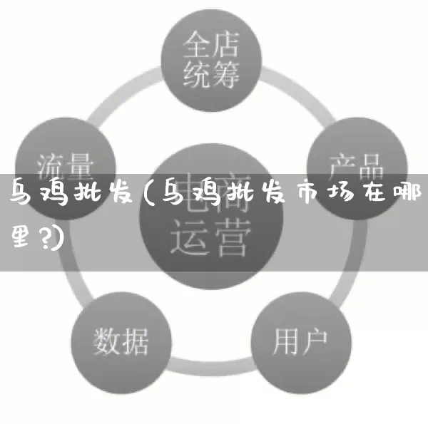 乌鸡批发(乌鸡批发市场在哪里?)_https://www.rzcpcj.com_直通车_第1张