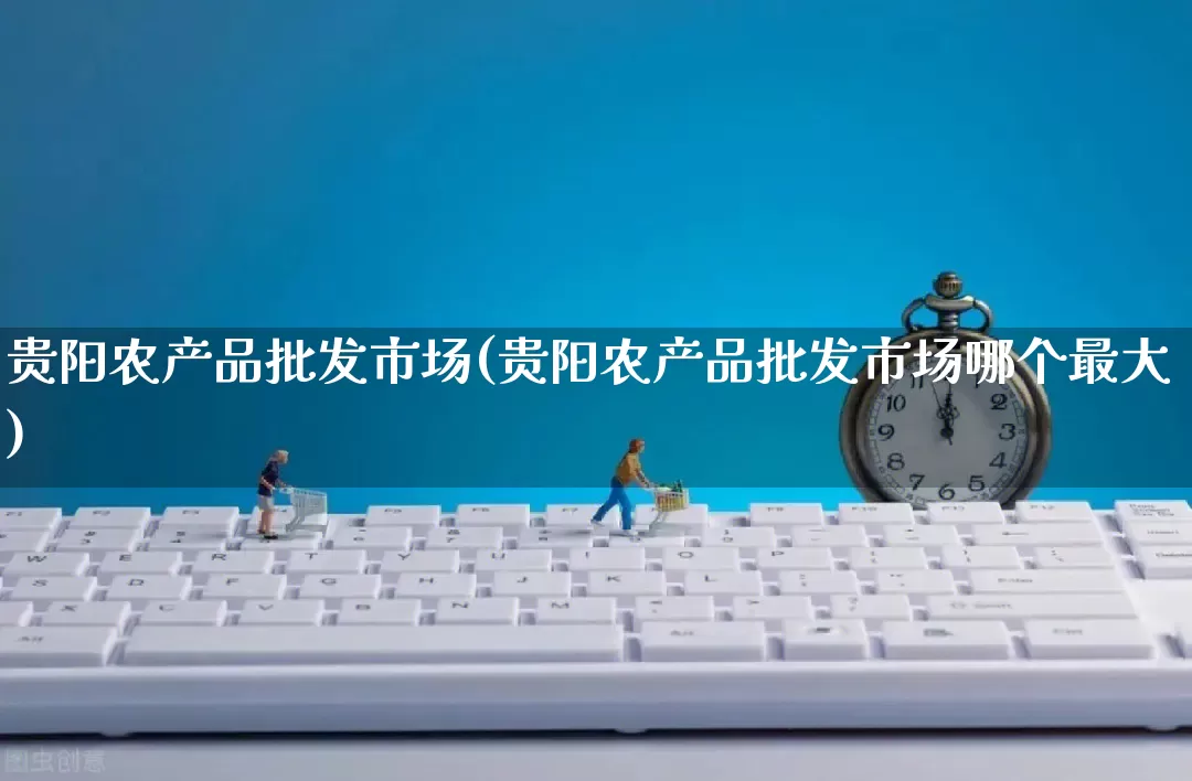 贵阳农产品批发市场(贵阳农产品批发市场哪个最大)_https://www.rzcpcj.com_代运营_第1张