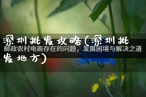 深圳批发攻略(深圳批发地方)_https://www.rzcpcj.com_抖音快手_第1张