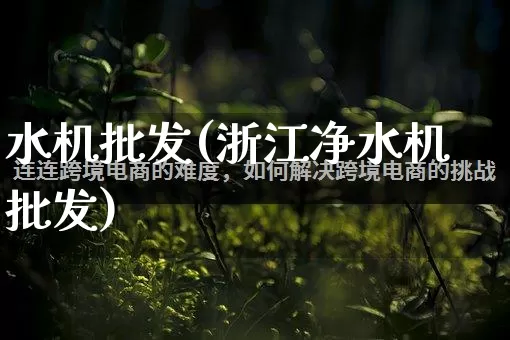 水机批发(浙江净水机批发)_https://www.rzcpcj.com_淘宝运营_第1张