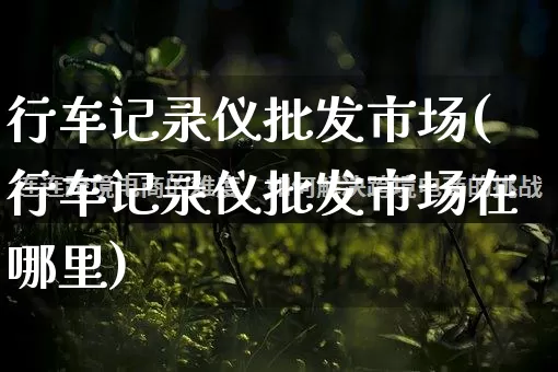 行车记录仪批发市场(行车记录仪批发市场在哪里)_https://www.rzcpcj.com_淘宝运营_第1张