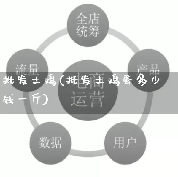 批发土鸡(批发土鸡蛋多少钱一斤)_https://www.rzcpcj.com_天猫运营_第1张