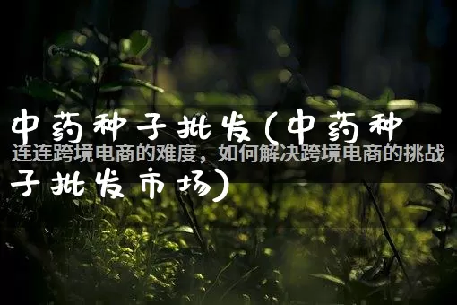中药种子批发(中药种子批发市场)_https://www.rzcpcj.com_天猫运营_第1张