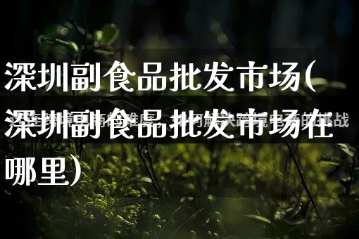 深圳副食品批发市场(深圳副食品批发市场在哪里)_https://www.rzcpcj.com_淘宝运营_第1张
