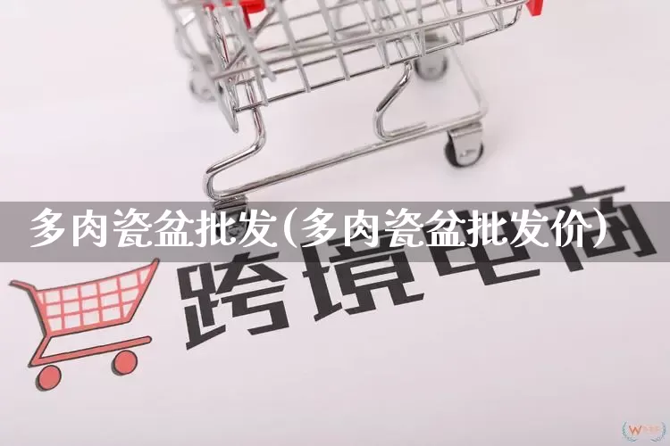 多肉瓷盆批发(多肉瓷盆批发价)_https://www.rzcpcj.com_开网店_第1张