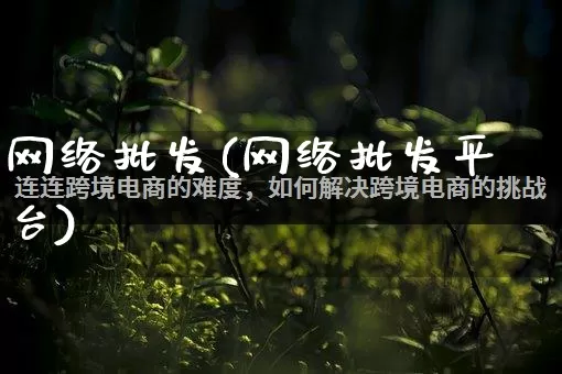 网络批发(网络批发平台)_https://www.rzcpcj.com_开网店_第1张