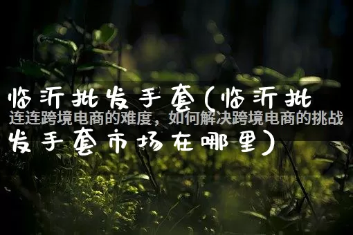 临沂批发手套(临沂批发手套市场在哪里)_https://www.rzcpcj.com_淘宝运营_第1张