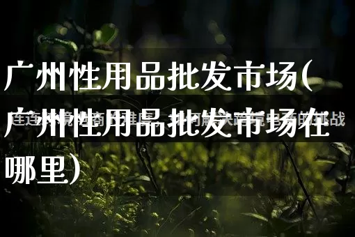 广州性用品批发市场(广州性用品批发市场在哪里)_https://www.rzcpcj.com_淘宝运营_第1张