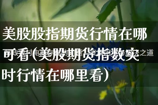 美股股指期货行情在哪可看(美股期货指数实时行情在哪里看)_https://www.rzcpcj.com_天猫运营_第1张