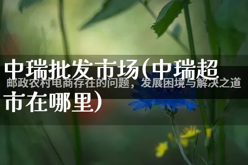 中瑞批发市场(中瑞超市在哪里)_https://www.rzcpcj.com_抖音快手_第1张