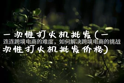 一次性打火机批发(一次性打火机批发价格)_https://www.rzcpcj.com_代运营_第1张