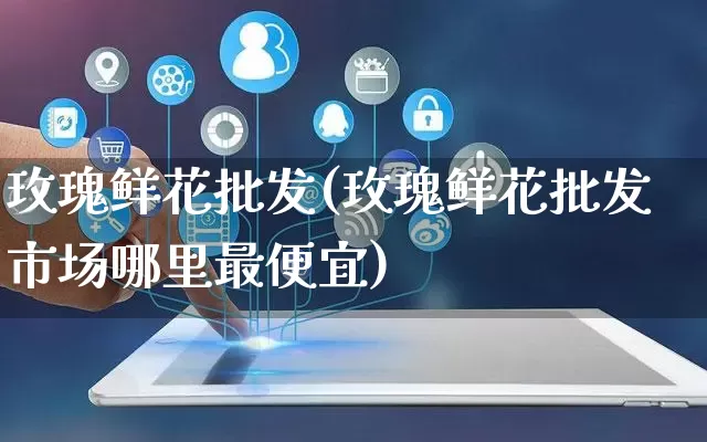 玫瑰鲜花批发(玫瑰鲜花批发市场哪里最便宜)_https://www.rzcpcj.com_抖音快手_第1张