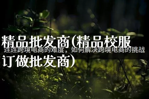 精品批发商(精品校服订做批发商)_https://www.rzcpcj.com_代运营_第1张