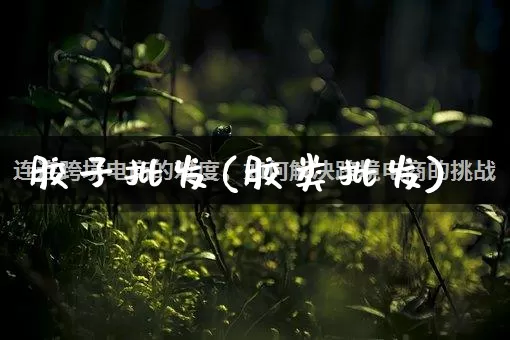 胶子批发(胶类批发)_https://www.rzcpcj.com_淘宝运营_第1张