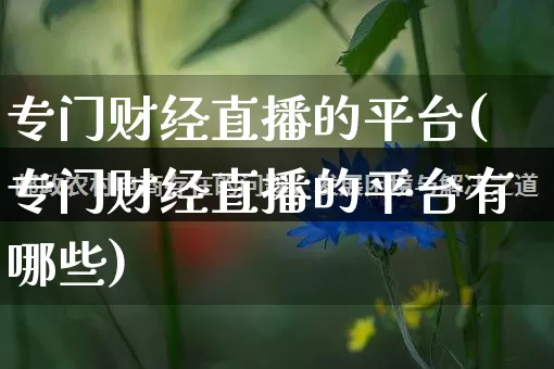 专门财经直播的平台(专门财经直播的平台有哪些)_https://www.rzcpcj.com_开网店_第1张