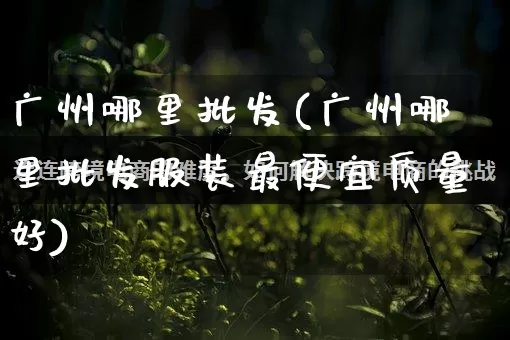 广州哪里批发(广州哪里批发服装最便宜质量好)_https://www.rzcpcj.com_淘宝运营_第1张