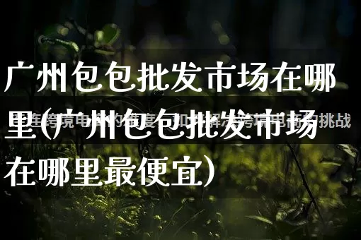 广州包包批发市场在哪里(广州包包批发市场在哪里最便宜)_https://www.rzcpcj.com_代运营_第1张