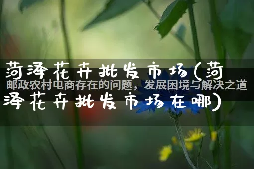 菏泽花卉批发市场(菏泽花卉批发市场在哪)_https://www.rzcpcj.com_抖音快手_第1张