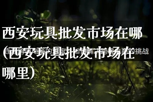西安玩具批发市场在哪(西安玩具批发市场在哪里)_https://www.rzcpcj.com_淘宝运营_第1张