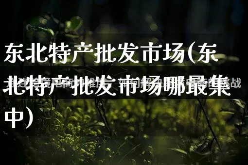 东北特产批发市场(东北特产批发市场哪最集中)_https://www.rzcpcj.com_开网店_第1张
