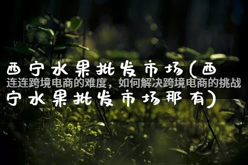 西宁水果批发市场(西宁水果批发市场那有)_https://www.rzcpcj.com_开网店_第1张