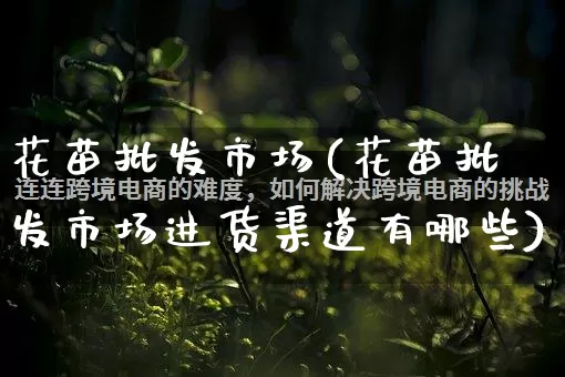 花苗批发市场(花苗批发市场进货渠道有哪些)_https://www.rzcpcj.com_开网店_第1张