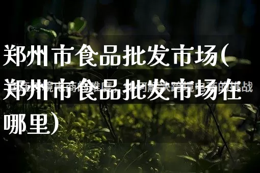 郑州市食品批发市场(郑州市食品批发市场在哪里)_https://www.rzcpcj.com_直通车_第1张