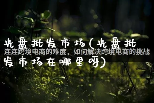 光盘批发市场(光盘批发市场在哪里呀)_https://www.rzcpcj.com_抖音快手_第1张