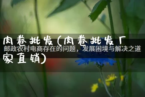 肉卷批发(肉卷批发厂家直销)_https://www.rzcpcj.com_天猫运营_第1张