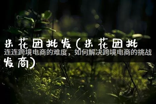 米花团批发(米花团批发商)_https://www.rzcpcj.com_抖音快手_第1张