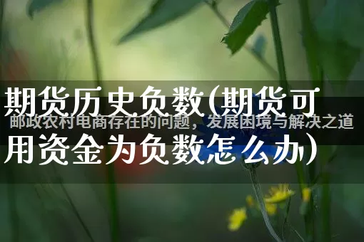 期货历史负数(期货可用资金为负数怎么办)_https://www.rzcpcj.com_开网店_第1张