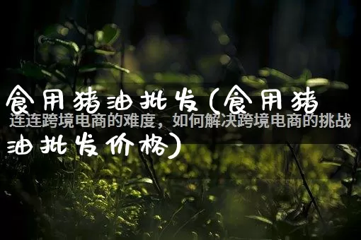 食用猪油批发(食用猪油批发价格)_https://www.rzcpcj.com_淘宝运营_第1张