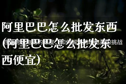 阿里巴巴怎么批发东西(阿里巴巴怎么批发东西便宜)_https://www.rzcpcj.com_天猫运营_第1张