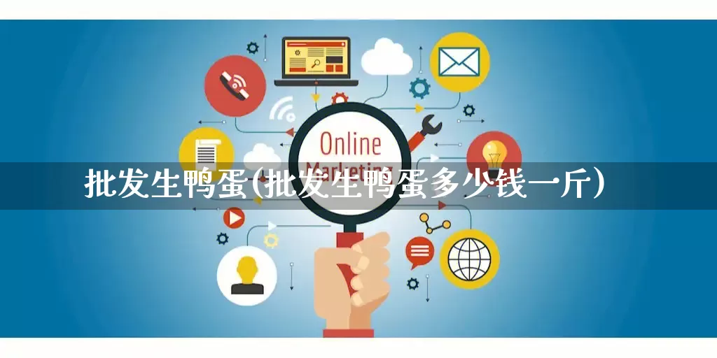 批发生鸭蛋(批发生鸭蛋多少钱一斤)_https://www.rzcpcj.com_开网店_第1张
