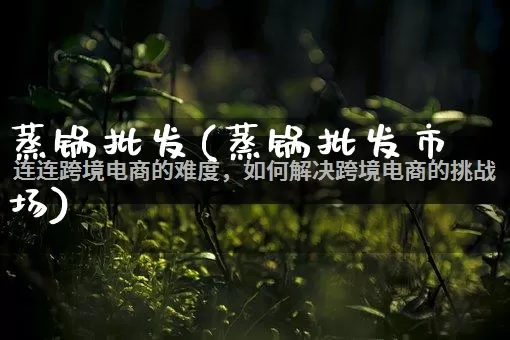 蒸锅批发(蒸锅批发市场)_https://www.rzcpcj.com_抖音快手_第1张