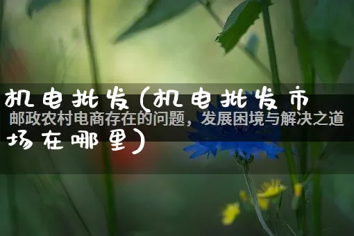 机电批发(机电批发市场在哪里)_https://www.rzcpcj.com_淘宝运营_第1张